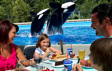 Dine with Orcas