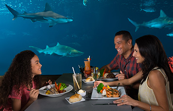 Sharks Underwater Grill