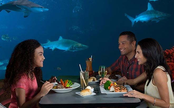 Sharks Underwater Grill at SeaWorld Orlando
