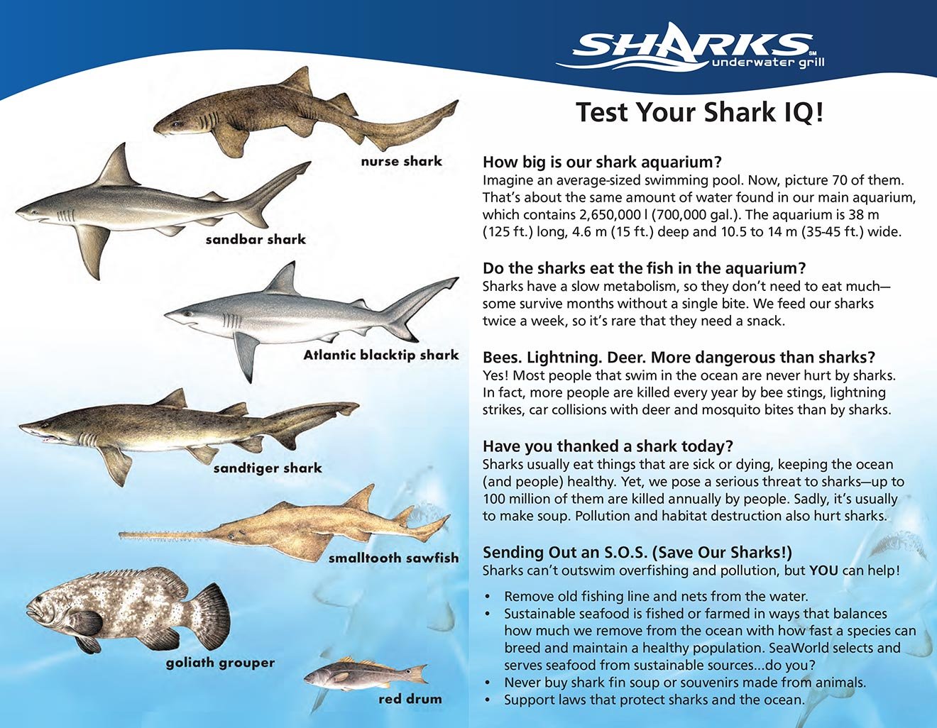 Test your Shark IQ while dining at Sharks Underwater Grill