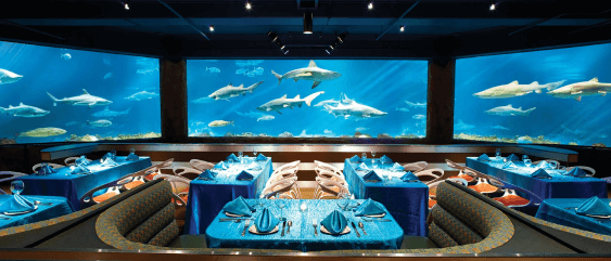 Shark's Underwater Grill