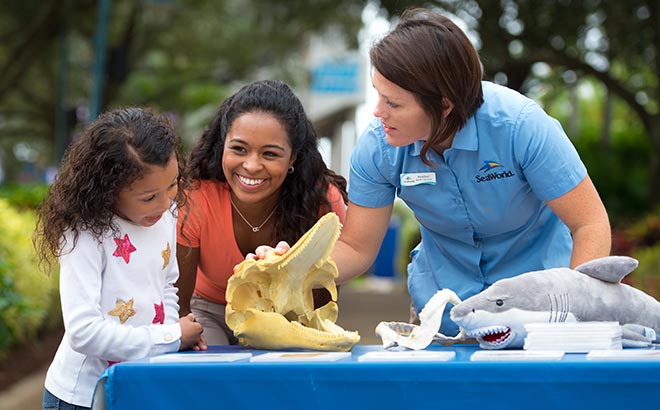Educational programs at SeaWorld Orlando