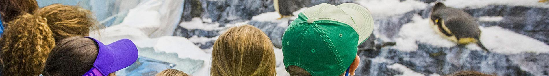 Day camp programs for Second through Third Graders