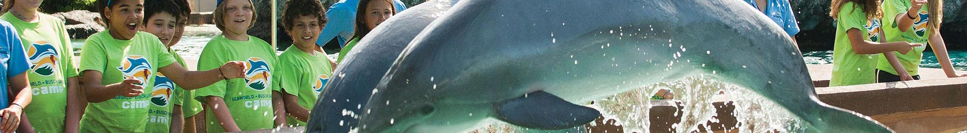 Day camps for Fourth to Fifth Graders