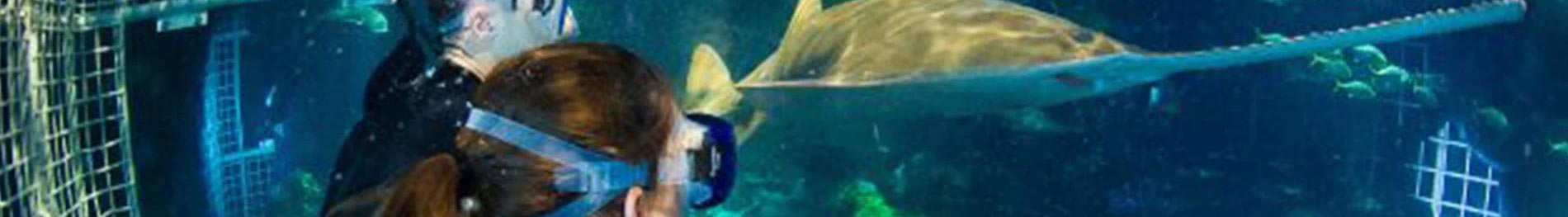 Day camps for Sixth to Eighth Graders