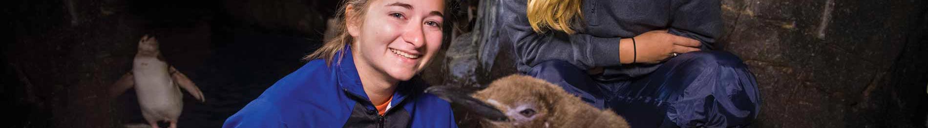 Day camps for Ninth to Twelfth Graders