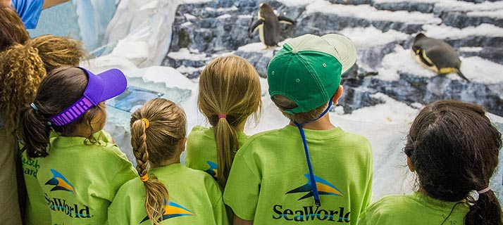 Day camp programs for Second through Third Graders