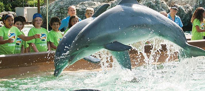 Day camps for Fourth to Fifth Graders