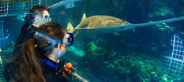 Day camps for Sixth to Eighth Graders