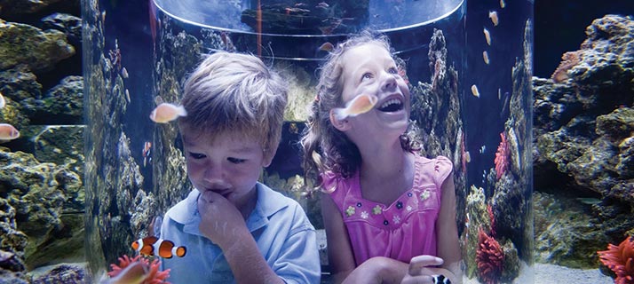 Day camp programs for Kindergarters through First Graders