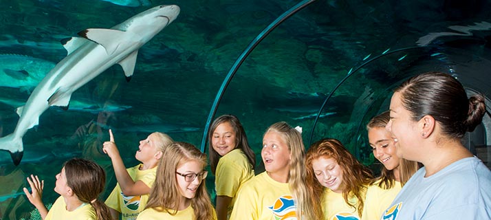 Educational programs at SeaWorld Orlando