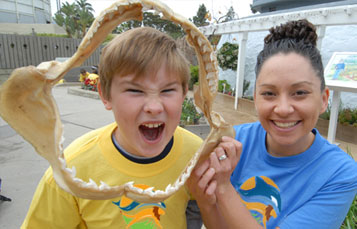 Do You See What I Sea