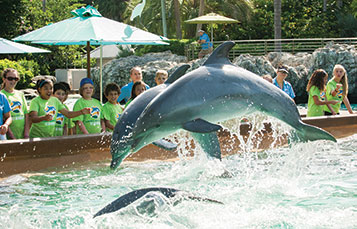 Campers at Dolphin Cove