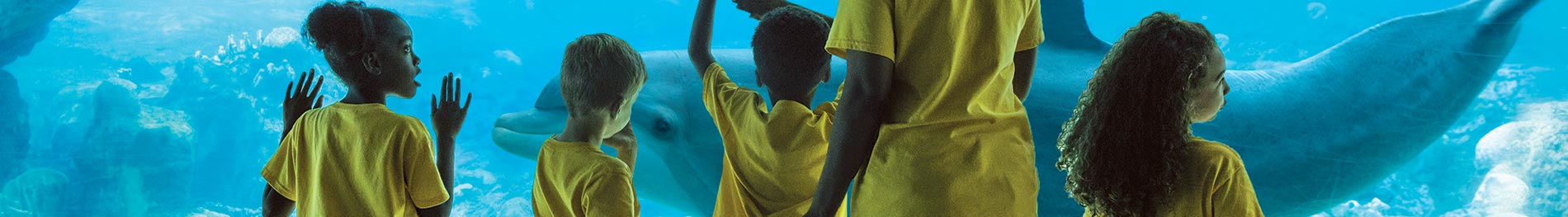 Field trips at SeaWorld Orlando