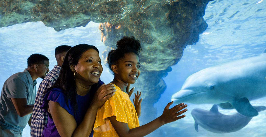 SeaWorld Orlando Free Tickets for Teachers SeaWorld Orlando