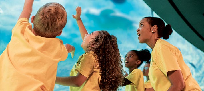 Educational programs at SeaWorld Orlando