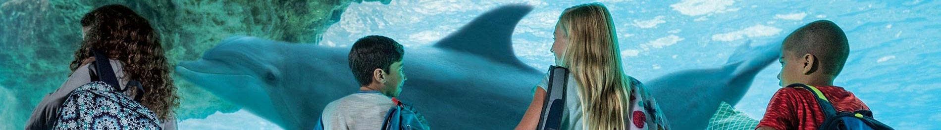 Educational sleepovers at SeaWorld Orlando