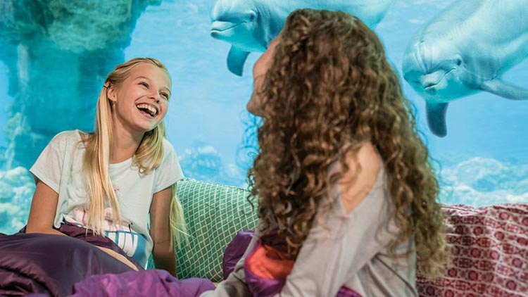 Educational sleepovers at SeaWorld Orlando