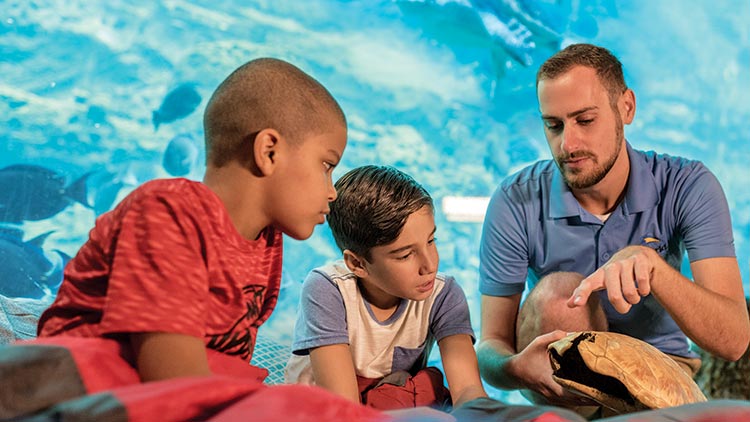 Educational sleepovers at SeaWorld Orlando