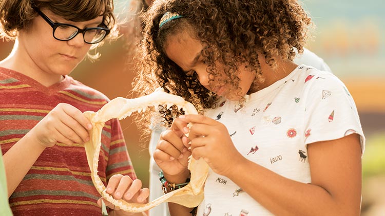 Educational programs for children at SeaWorld Orlando