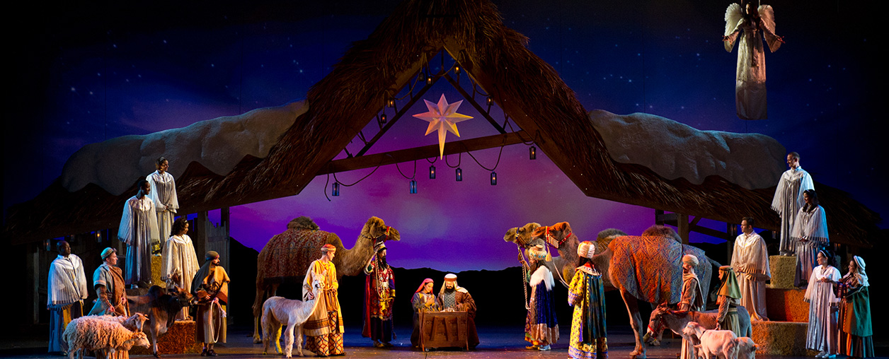 O Wondrous Night show during SeaWorld Christmas Celebration event