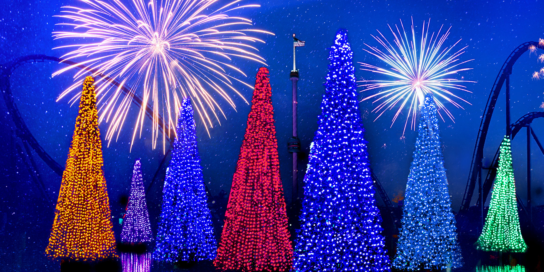 Sea of Trees during SeaWorld Christmas Celebration event