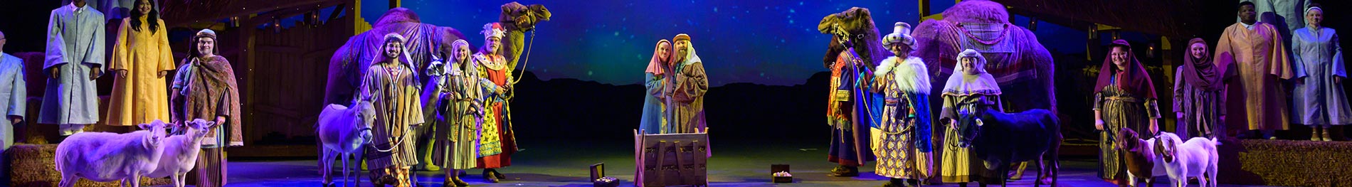 O Wondrous Night show during SeaWorld Christmas Celebration event