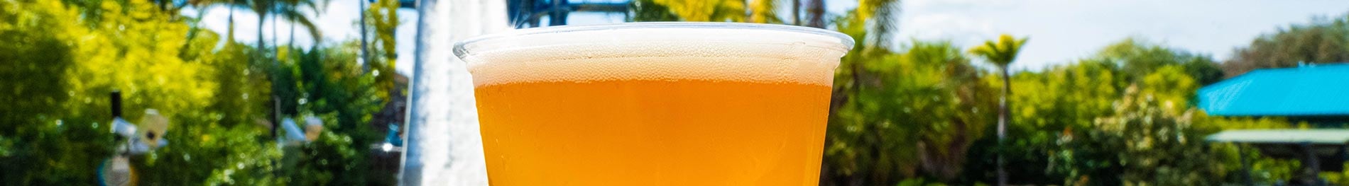 Free Beer Is Back at SeaWorld Orlando
