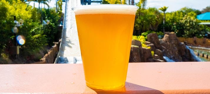 Free Beer Is Back at SeaWorld Orlando