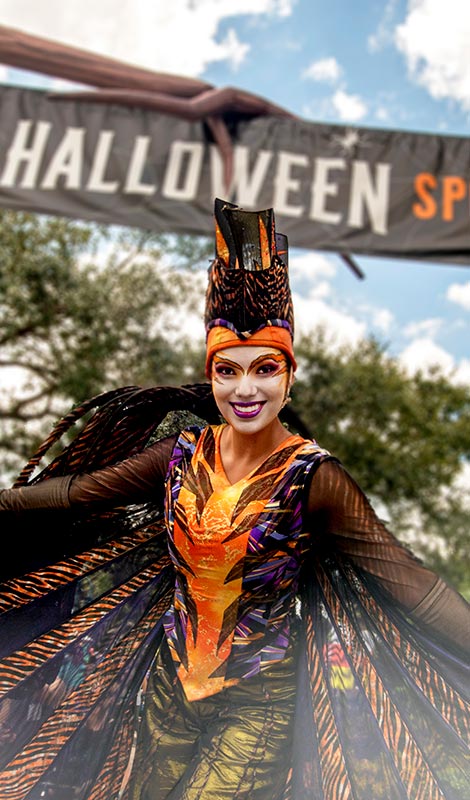 SeaWorld Halloween Spooktacular