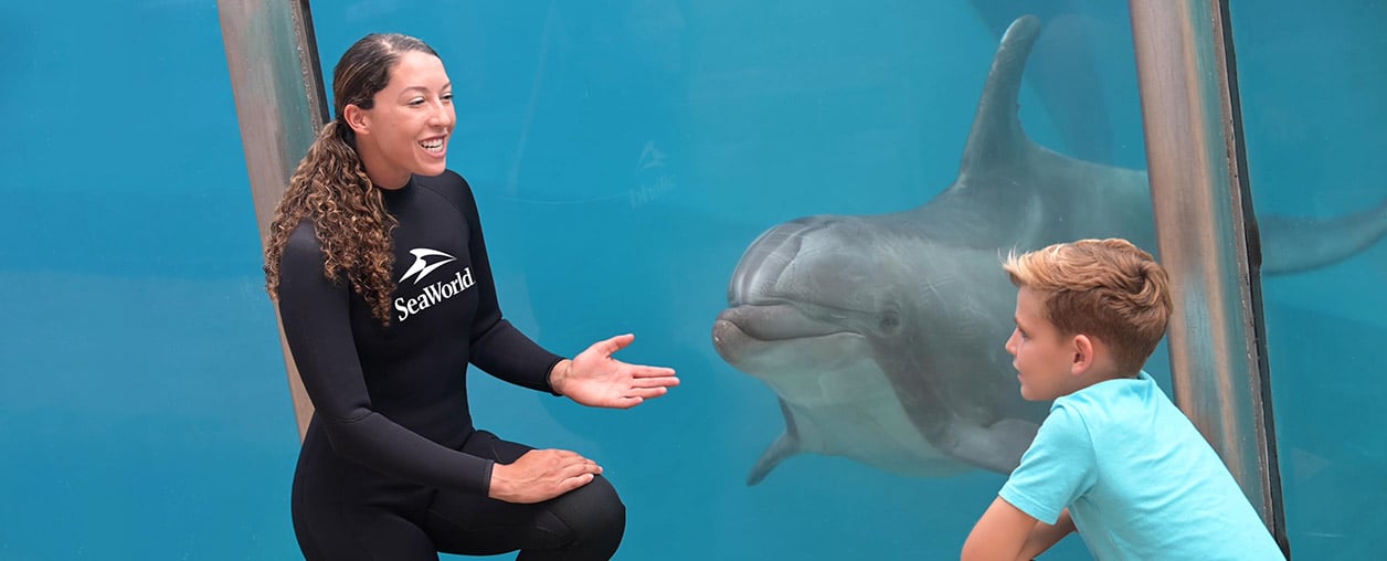 Dolphin Trainer Talk during SeaWorld Inside Look event