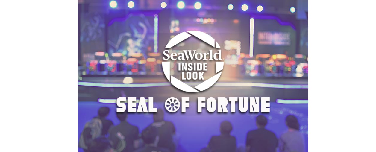 SeaWorld Inside Look Seal of Fortune
