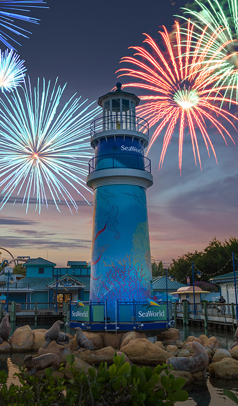 Fireworks above the SeaWorld Orlando lighthouse