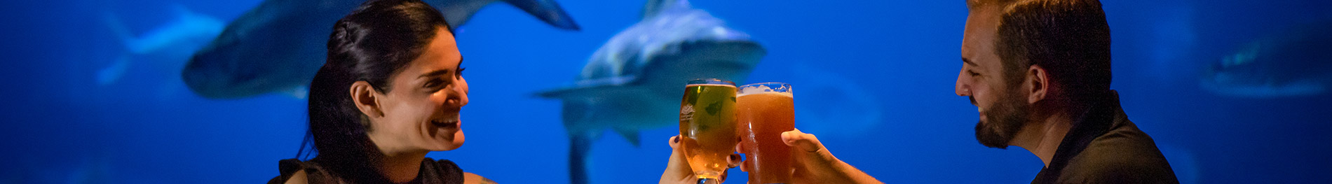 Valentines Day Dine at SeaWorld Sharks Underwater Grill