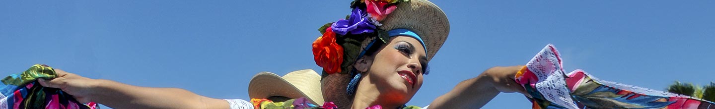 Viva La Musica Entertainment