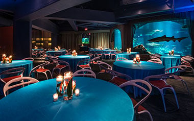 Group Events Package Option at Sharks Underwater Grill