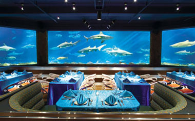 Sharks Underwater Grill