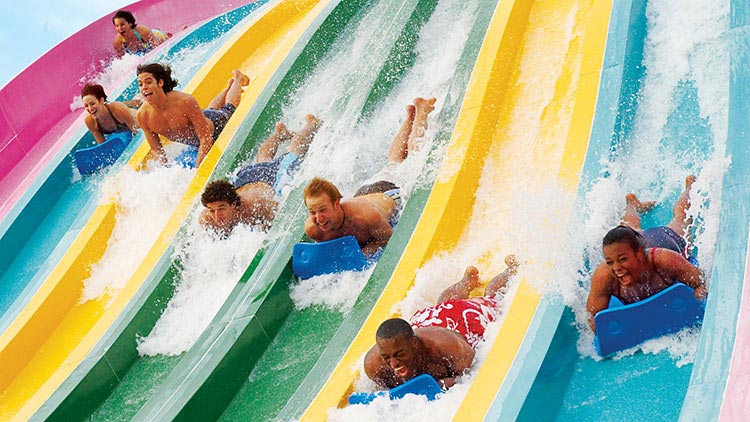 Taumata Racer at Aquatica Orlando