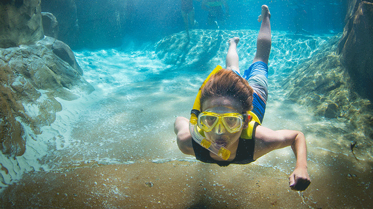 Snorkeling in Wind Away River at Discovery Cove Orlando