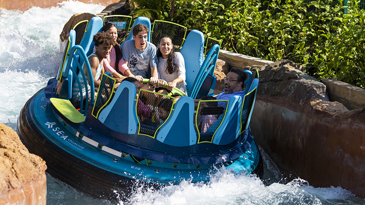 Aquatica Free Package - Admission and Accommodations | SeaWorld Orlando
