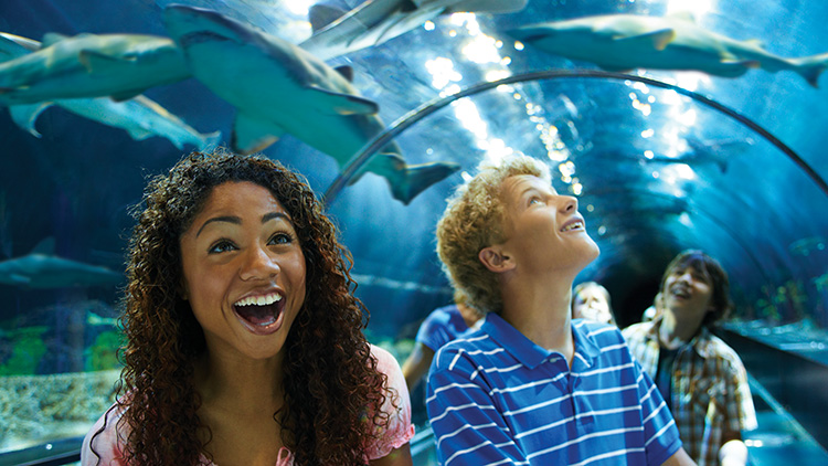 SeaWorld Orlando Eat Free Package