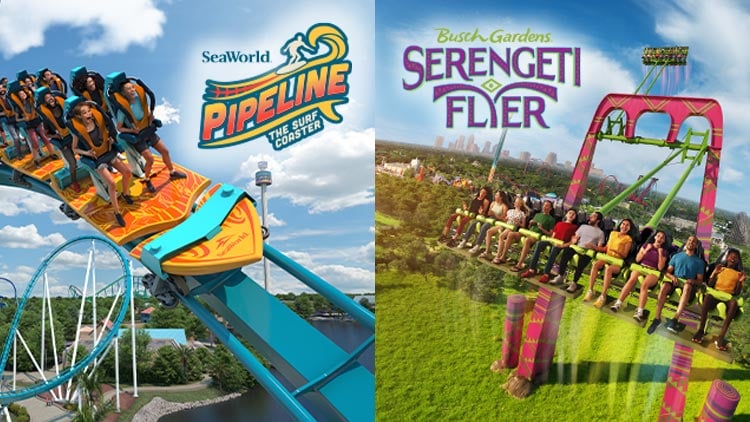 SeaWorld Pipeline and Busch Gardens Serengeti Flyer