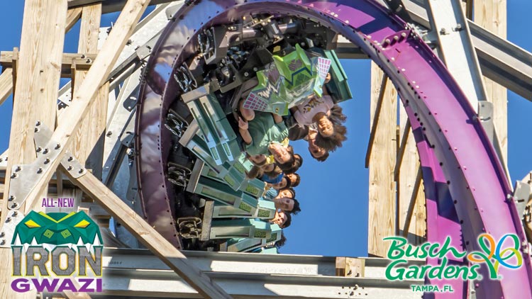 Iron Gwazi at Busch Gardens Tampa Bay