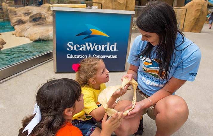SeaWorld Camp Programs