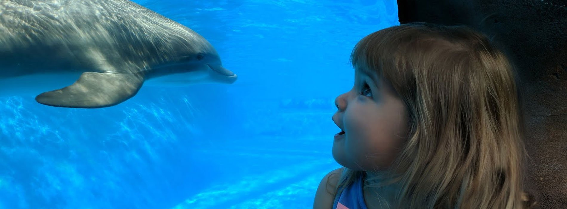 Visiting SeaWorld with small children