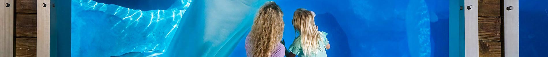 Mother and daughter at beluga whale viewing