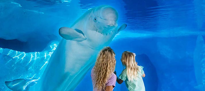 Mother and daughter at beluga whale viewing