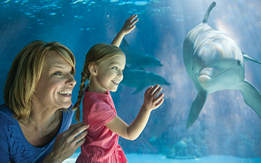 Florida Teacher Card to SeaWorld Orlando