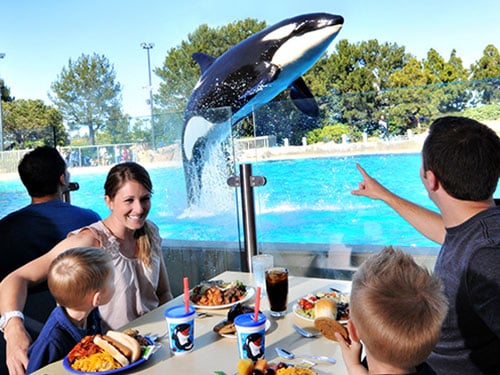Enjoy a delicious buffet meal at Dine with Orcas.