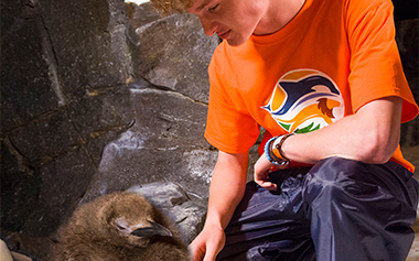 Marine Science Academy at SeaWorld Orlando